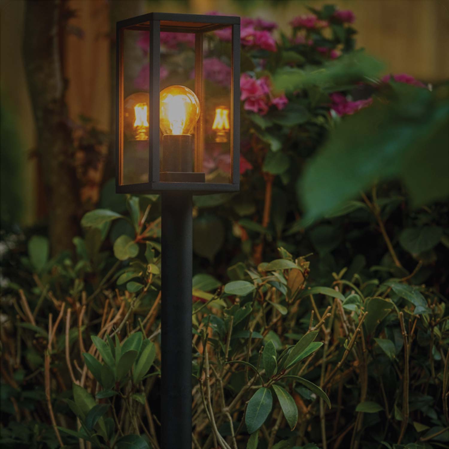 Garden Lights